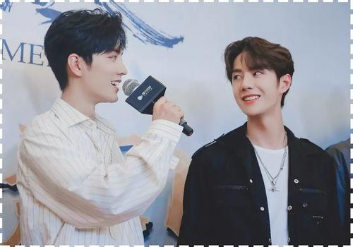 娱乐圈八卦最新爆料博君一肖,娱乐圈风云再起,真相即将揭晓!