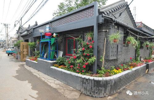 2025年芈月最新皮肤爆料,华丽蜕变，再现战国传奇风采