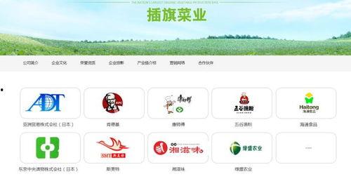 插旗菜业爆料视频最新,揭秘行业黑幕,品质革命再起波澜